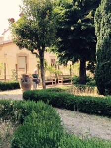 Georgio Vasari's house was extended twice to include a substantial garden now with shady trees, lavender and big pots.