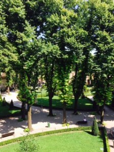 part of the glorious elm tree garden in the Ducal Palace of Mantua which sheltered many visitors on this 38degree+ day