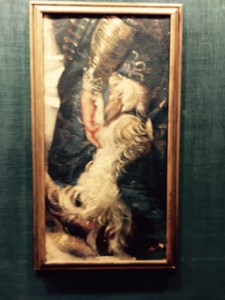 Rubens painting of a lapdog in the art gallery of the Ducal Palace. Dog is actually Dylan!