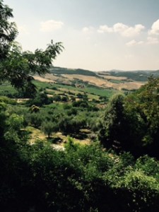 Everlasting view from the site of the Church of San Biago in Montepulciano. It is a place of deep peace, beauty and faith.