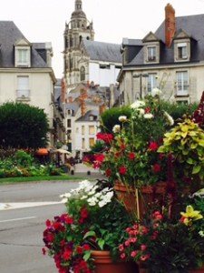 Another view of the Cathedral of St Louis in Blois