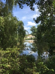 and again, the garden