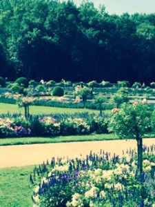 Chenonceau the flower and herb garden, stunning in its effect although very simple..white begonias, purple salvia and pink petunias on the outside and lavender on the inside with large fish pond fountain in the middle and some small statuary.