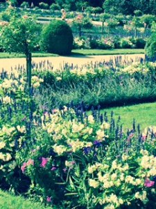 Close up of herb and flower garden and Chenonceau