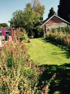 rear garden at Forge House with potting shed and very well used green house