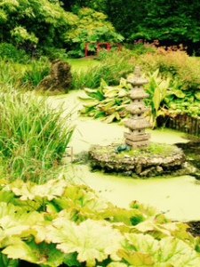 Water garden again at Wilton