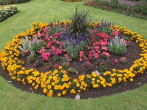 Abbey gardens in Bury St Edmunds