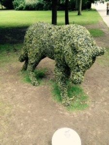 clever topiary in Bury St Edmunds park