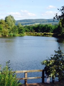 Carlisle a quiet spot