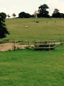 The view from the main bedroom