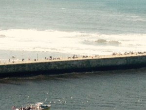 Whitby surf 2
