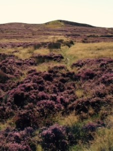 Whitby Yorkshire moors