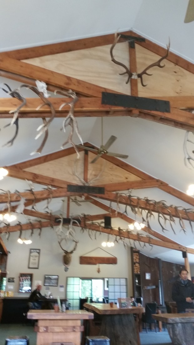 NZ Hard Antler Bar and Cafe Haase