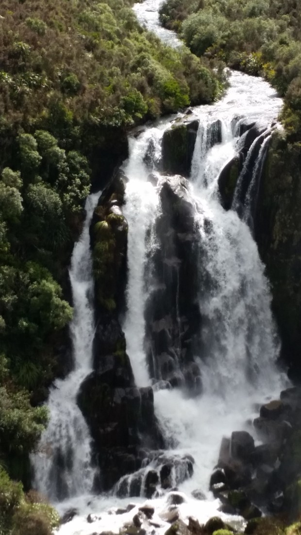 NZ North Island waterfall