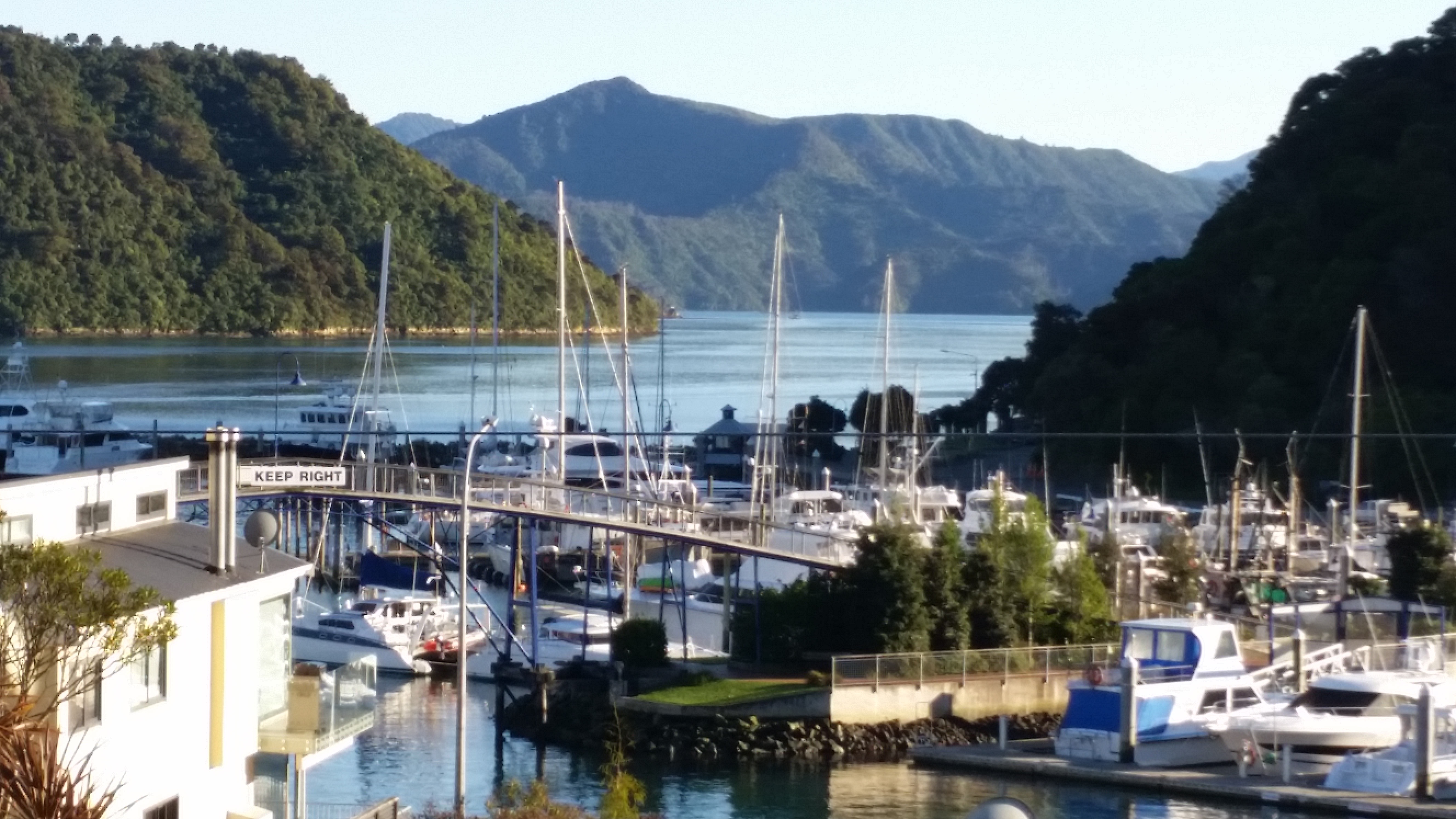 NZ Picton harbour)