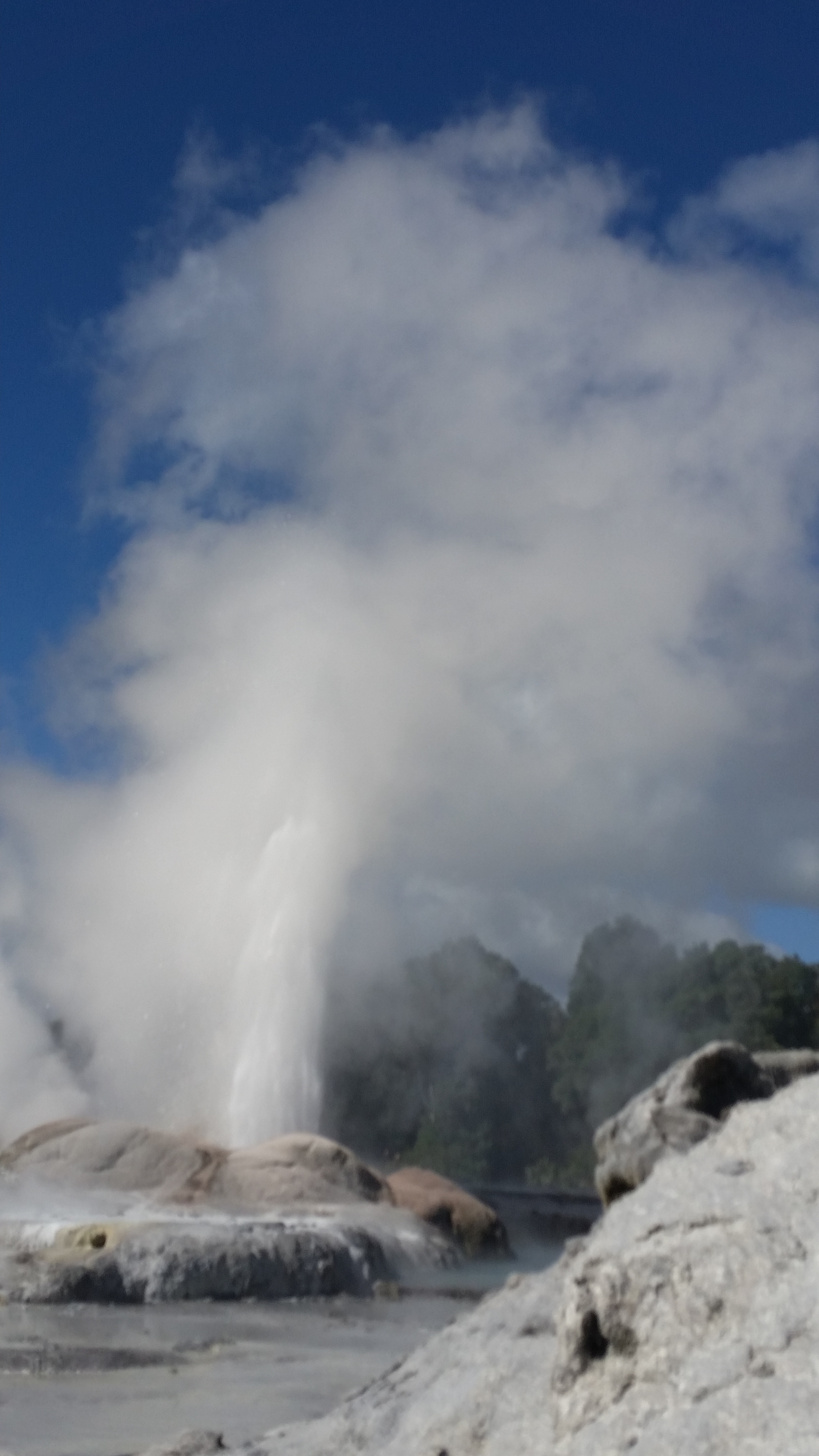 NZ Rotorua geyser