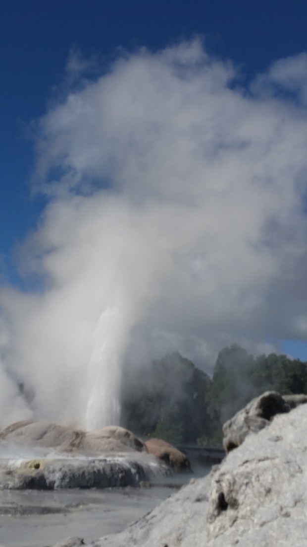 NZ Rotorua geyser
